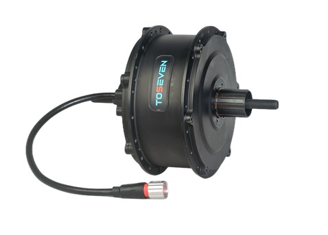 D79-190KL Hub Motor Unit