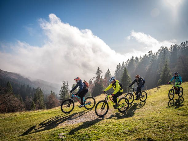 Mountain bikers riding mountain bikes on mountain trail, trees in background.