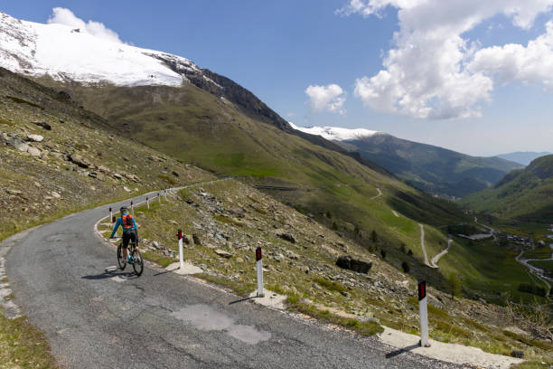 The road curves through a high mountain meadow  towards snowcapped mouuntains