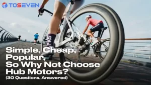 man riding hub motor ebike