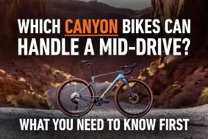 canyon bike e-bike conversion compatibility guide